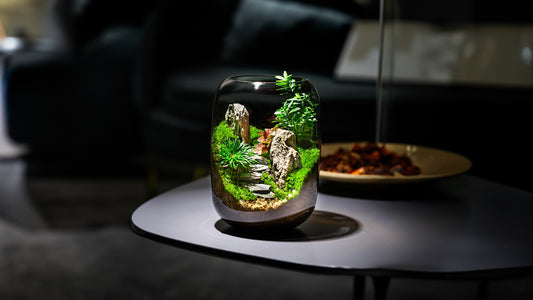 Cultivating Calm Tiny Terrariums for a Healthier Mind