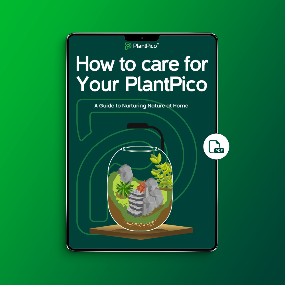 How to care for Your PlantPico