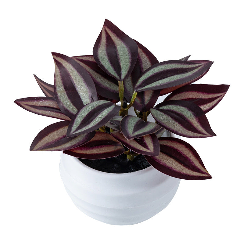 Striped Purple Tradescantia (Artificial)