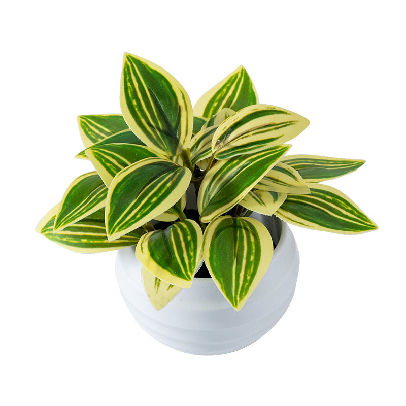 Green & Yellow Peperomia (Artificial)