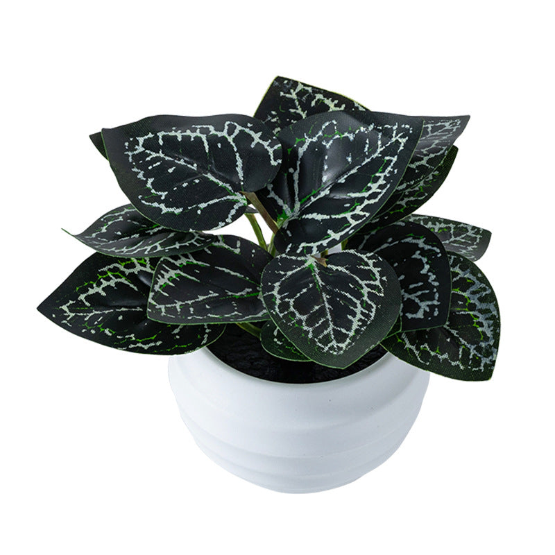 Black & White Nerve Plant (Artificial Fittonia)