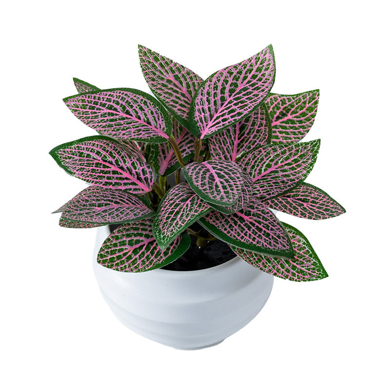 Pink Nerve Plant (Artificial Fittonia)