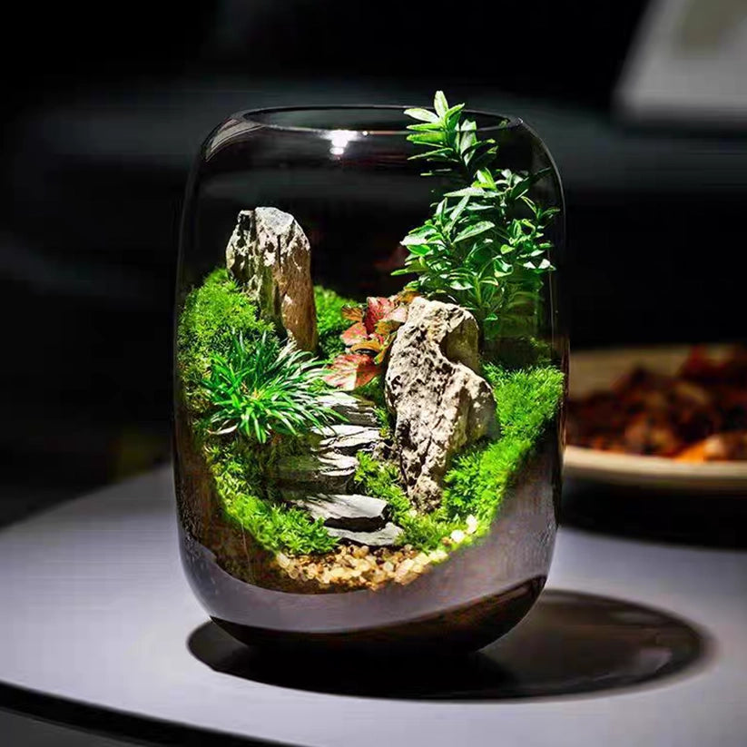 small plant terrarium PlantPico™ Tiny World