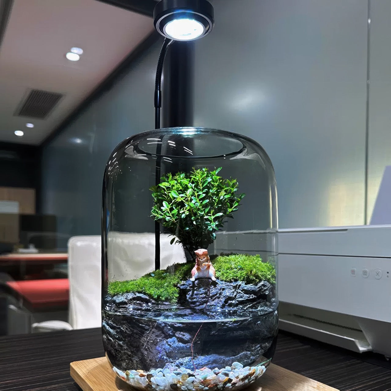 aqua terrarium planting tank PlantPico Eden's Pond | Aquatic Ecosystem Terrarium