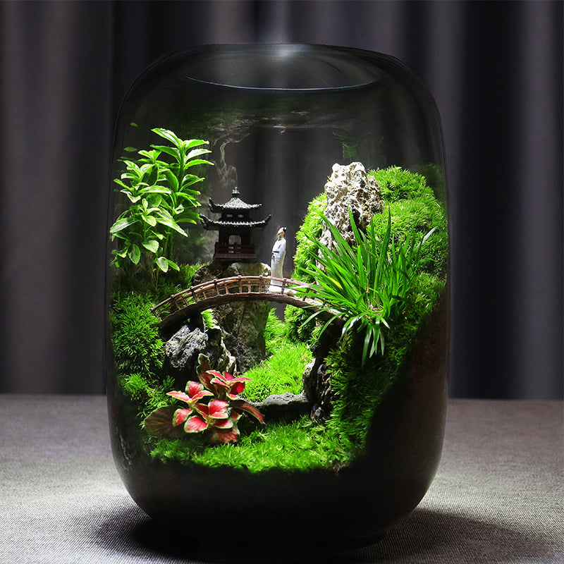 Watering the terrarium