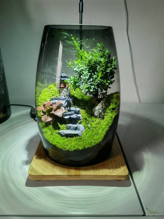 PlantPico ZenFlow| Nature Lover's Gift | Mindfulness Terrarium – PlantPico™