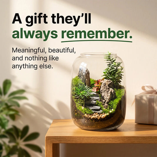 PlantPico™ Zen Garden Gift