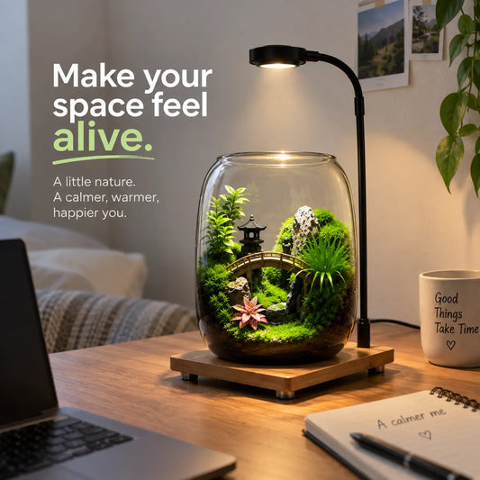 PlantPico™ Zen Garden
