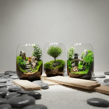 PlantPico™ Zen Garden