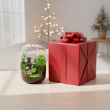 Gift-Ready Wrapping