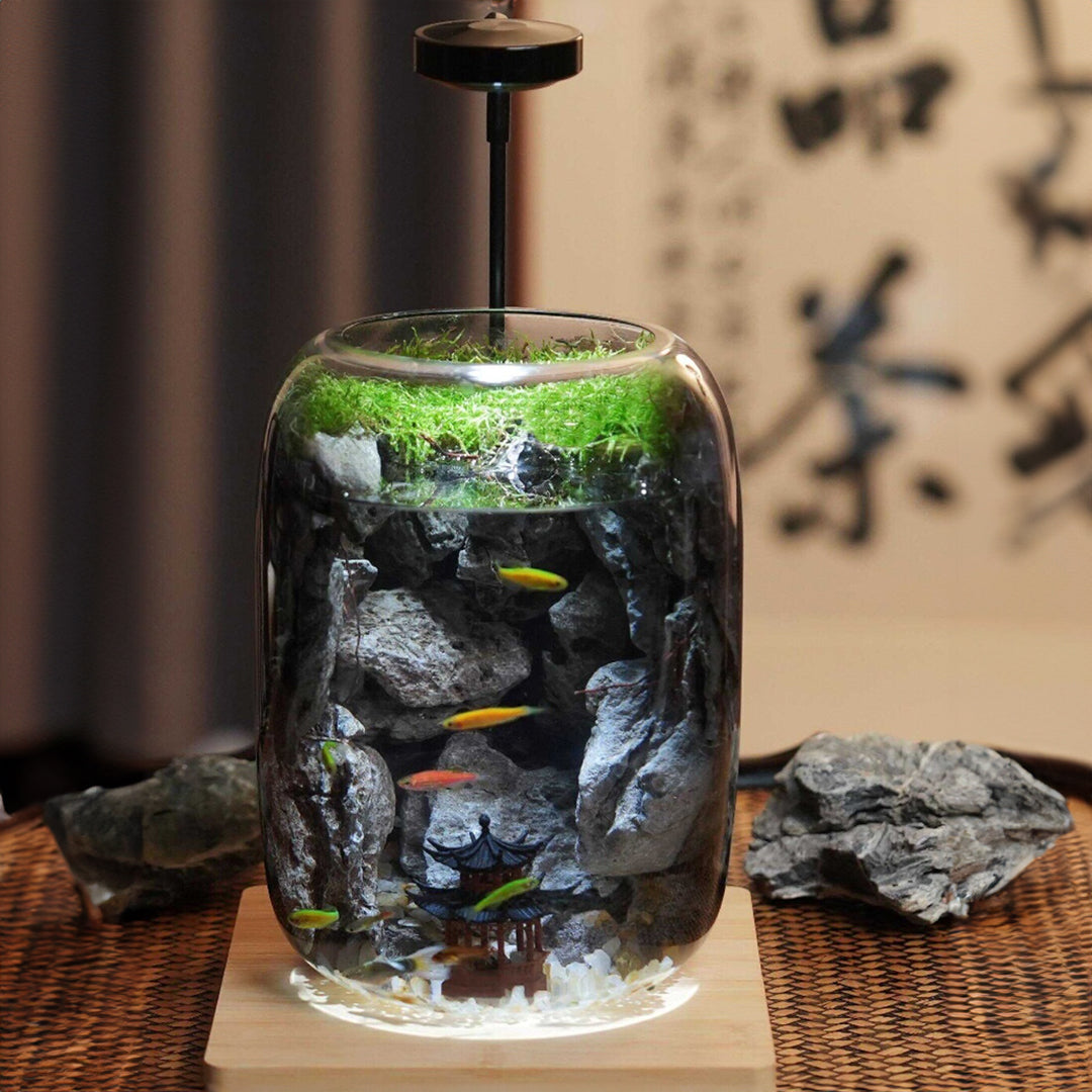 aquatic plants for terrarium PlantPico Water World | LED-Lit Aquatic Terrarium
