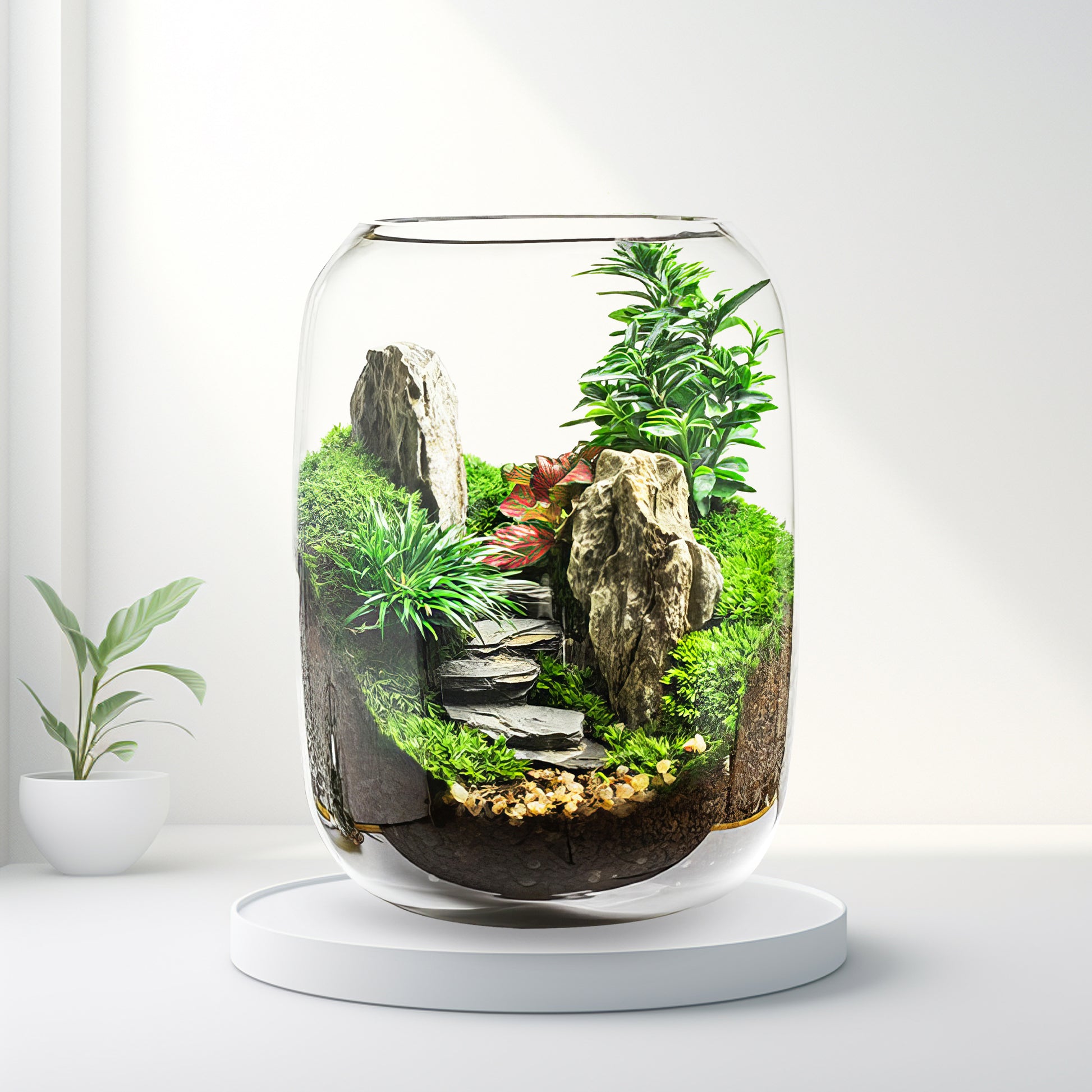 artificial plant terrarium PlantPico Tiny World | Low-Maintenance Living Terrarium