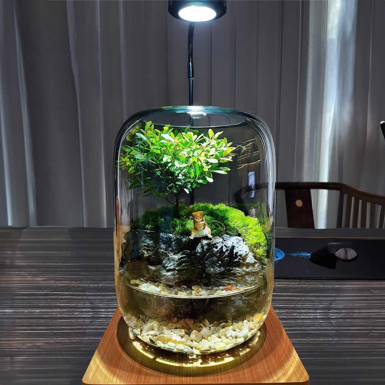 aqua terrarium planting tank PlantPico™ Eden's Pond